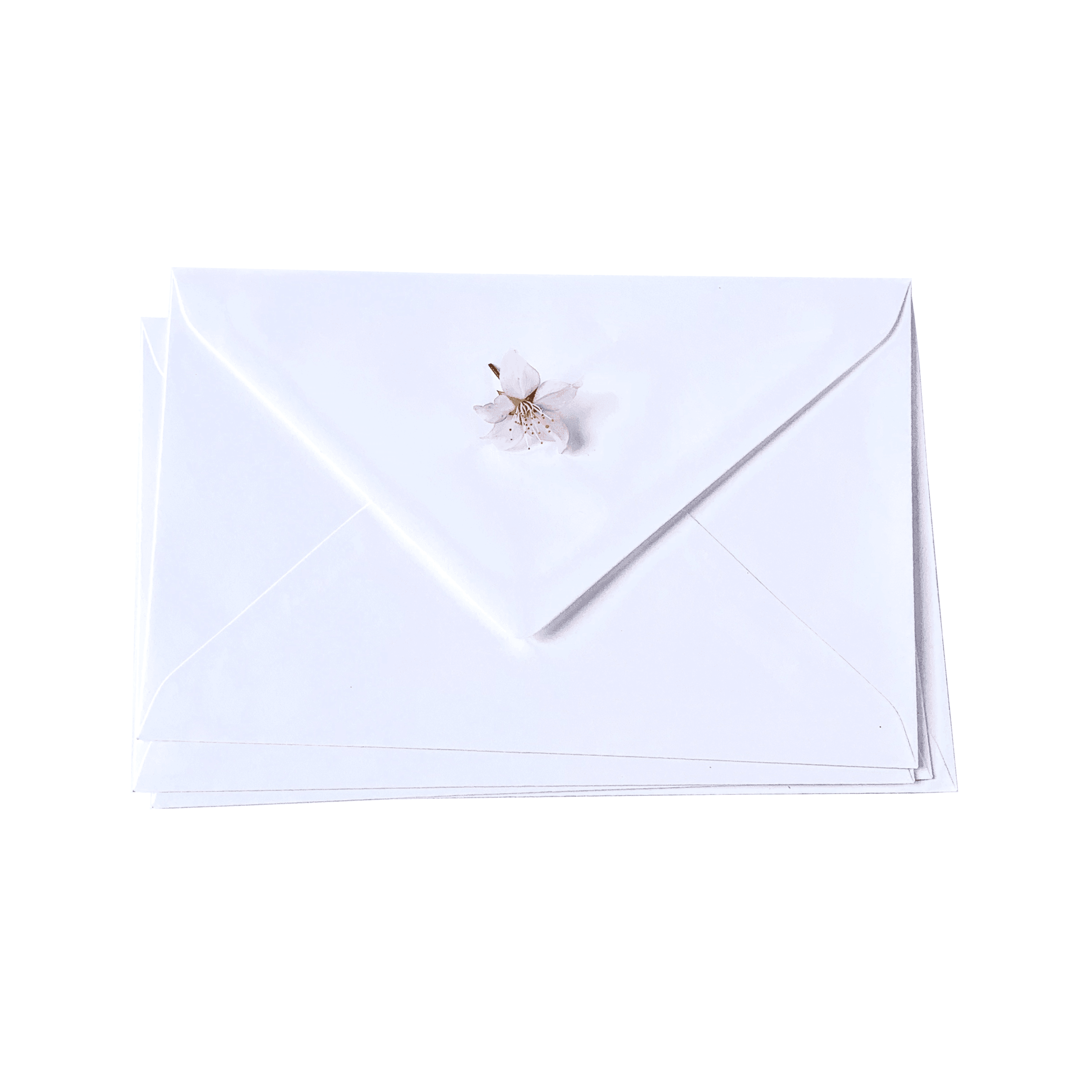 Briefumschlag in Weiß - sealed.shop